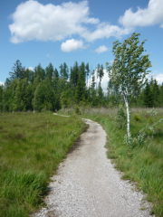 Ein Weg